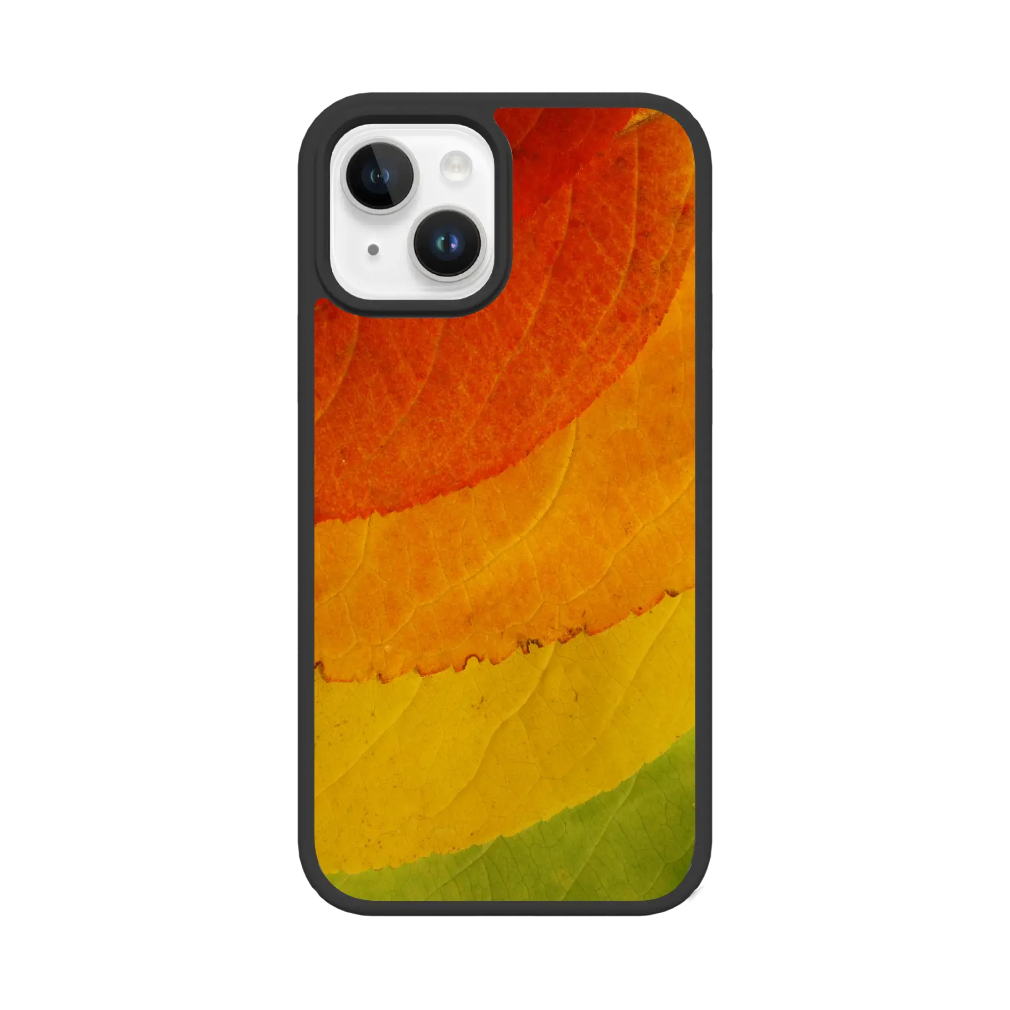 Autumn Bliss | Autumn Leaves | Custom MagSafe Case Design for Apple iPhone 12 Series