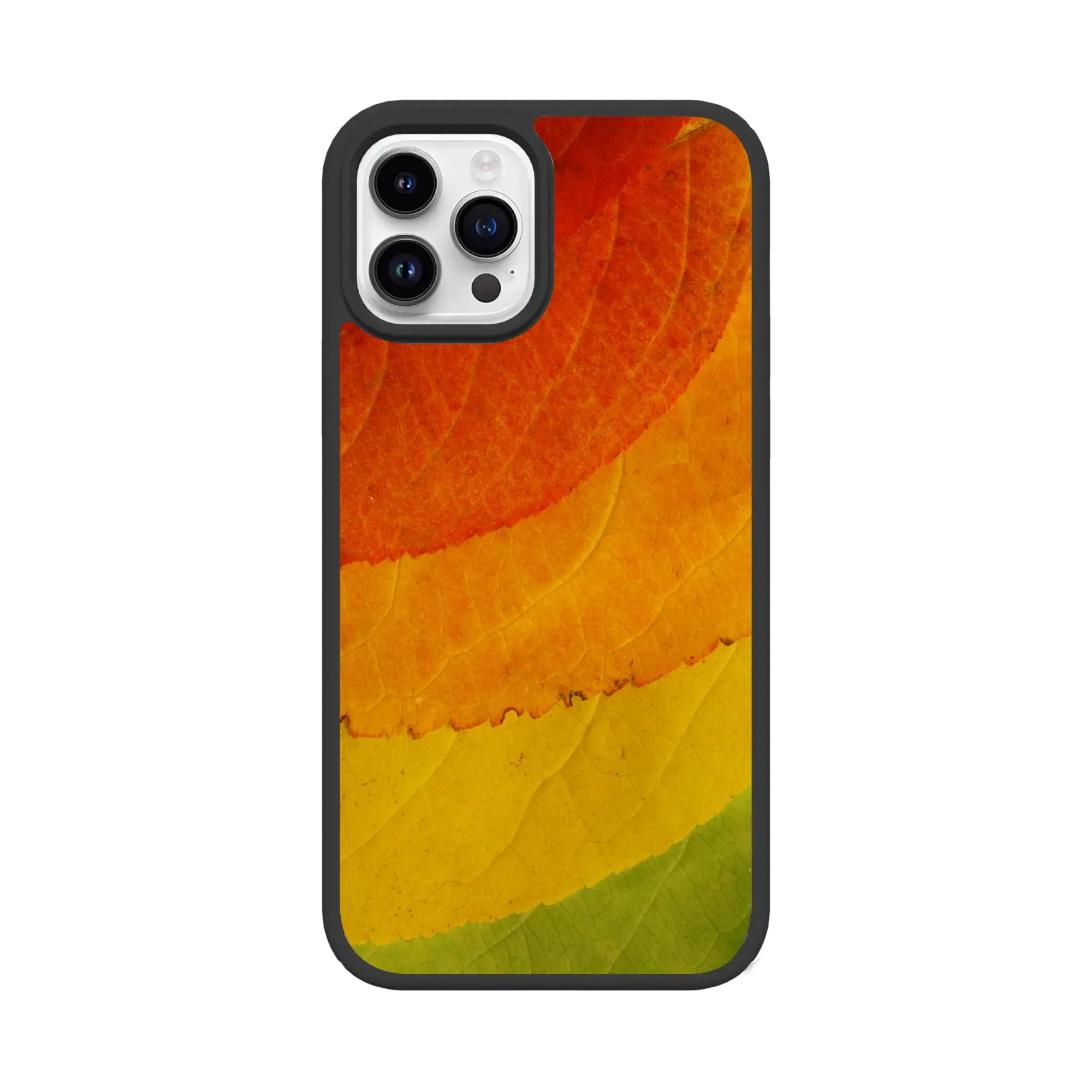 Autumn Bliss | Autumn Leaves | Custom MagSafe Case Design for Apple iPhone 12 Series
