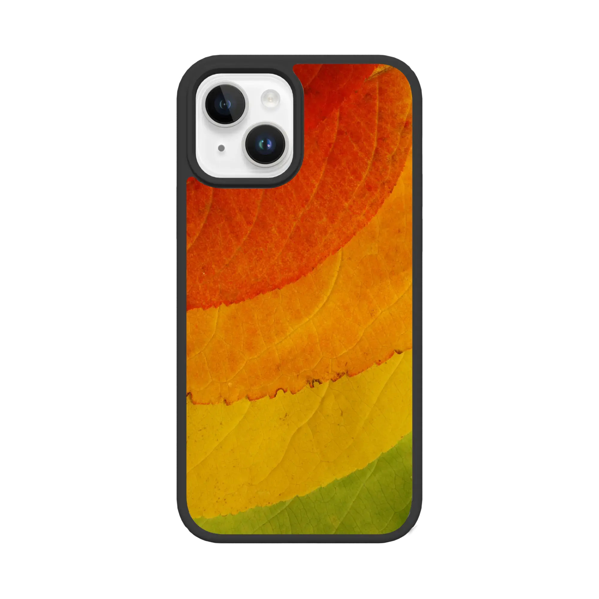 Autumn Bliss | Autumn Leaves | Custom MagSafe Case Design for Apple iPhone 13 Series