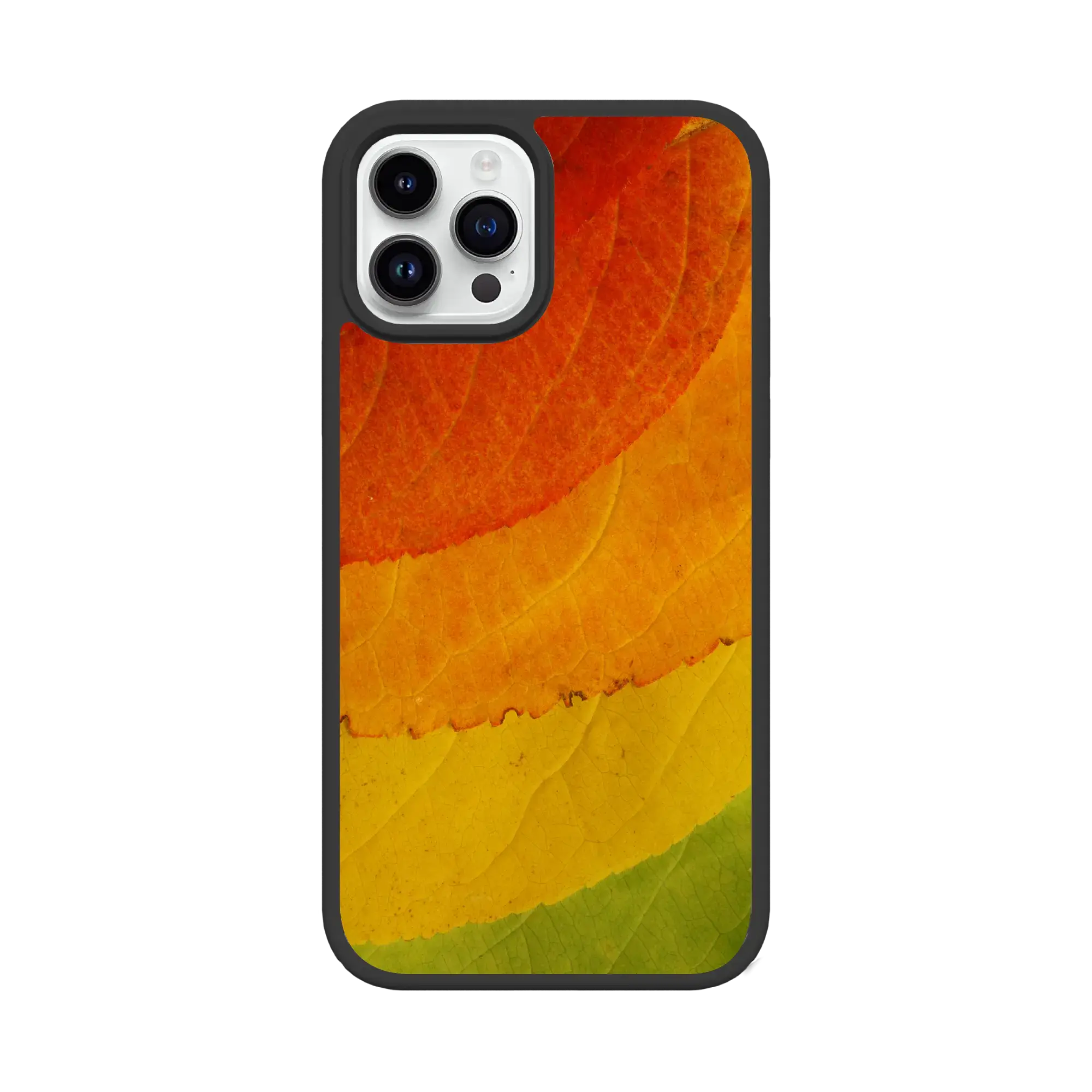 Autumn Bliss | Autumn Leaves | Custom MagSafe Case Design for Apple iPhone 13 Series