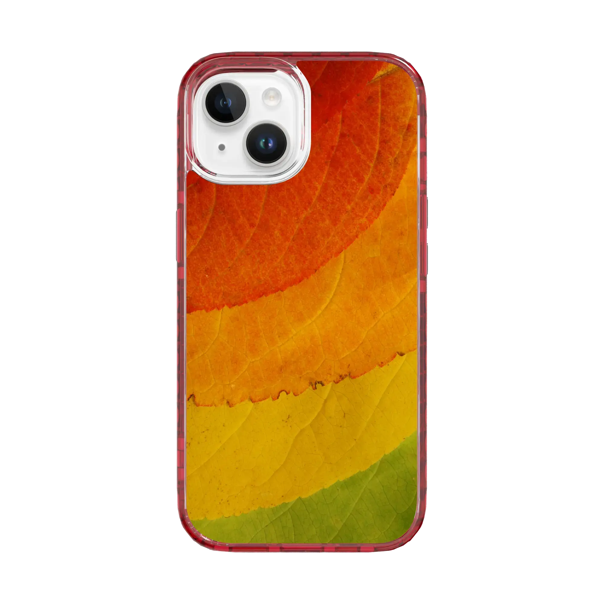 Autumn Bliss | Autumn Leaves | Custom MagSafe Case Design for Apple iPhone 15 Series