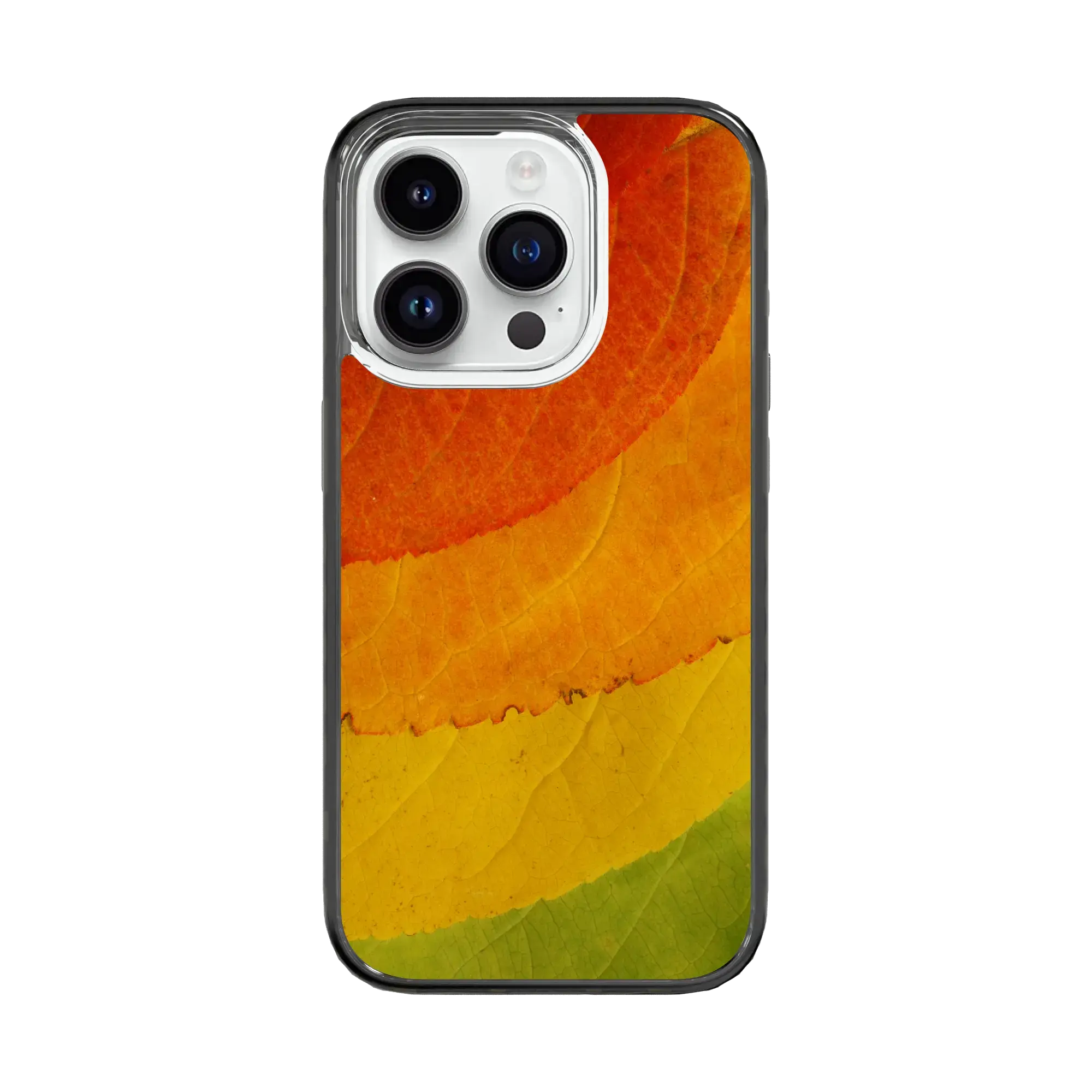 Autumn Bliss | Autumn Leaves | Custom MagSafe Case Design for Apple iPhone 15 Series