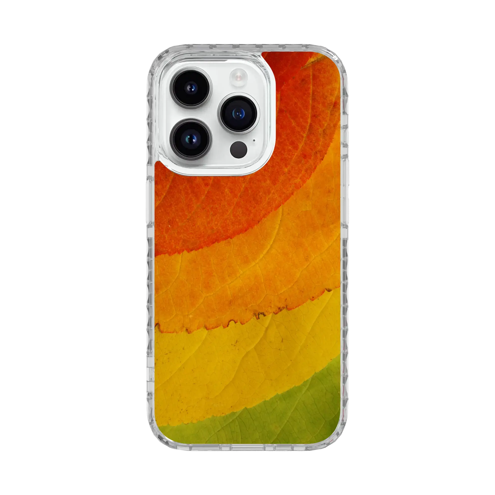 Autumn Bliss | Autumn Leaves | Custom MagSafe Case Design for Apple iPhone 15 Series