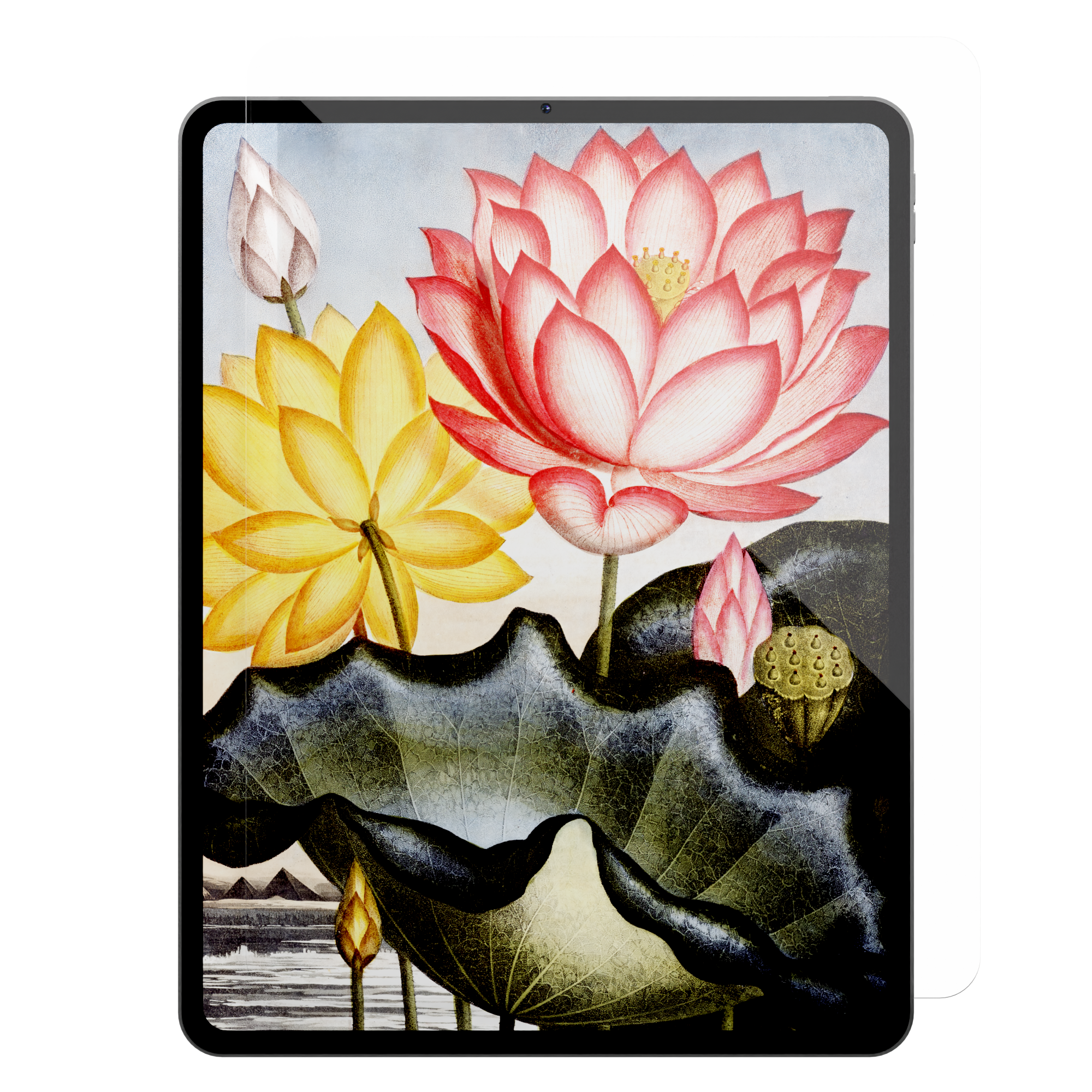 Tempered Glass for iPad Pro 13" (2024/2025) - with Alignment Tray