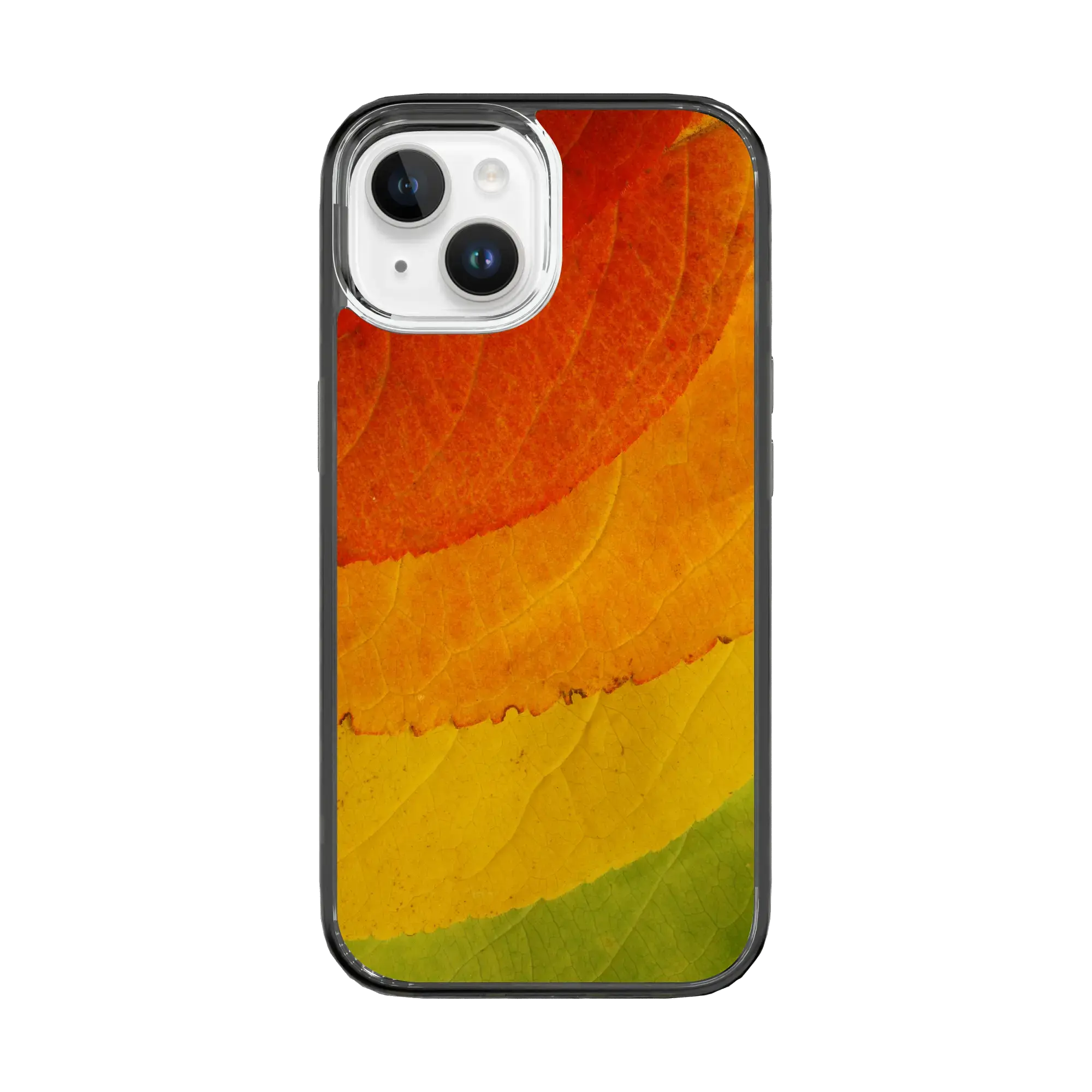 Autumn Bliss | Autumn Leaves | Custom MagSafe Case Design for Apple iPhone 15 Series