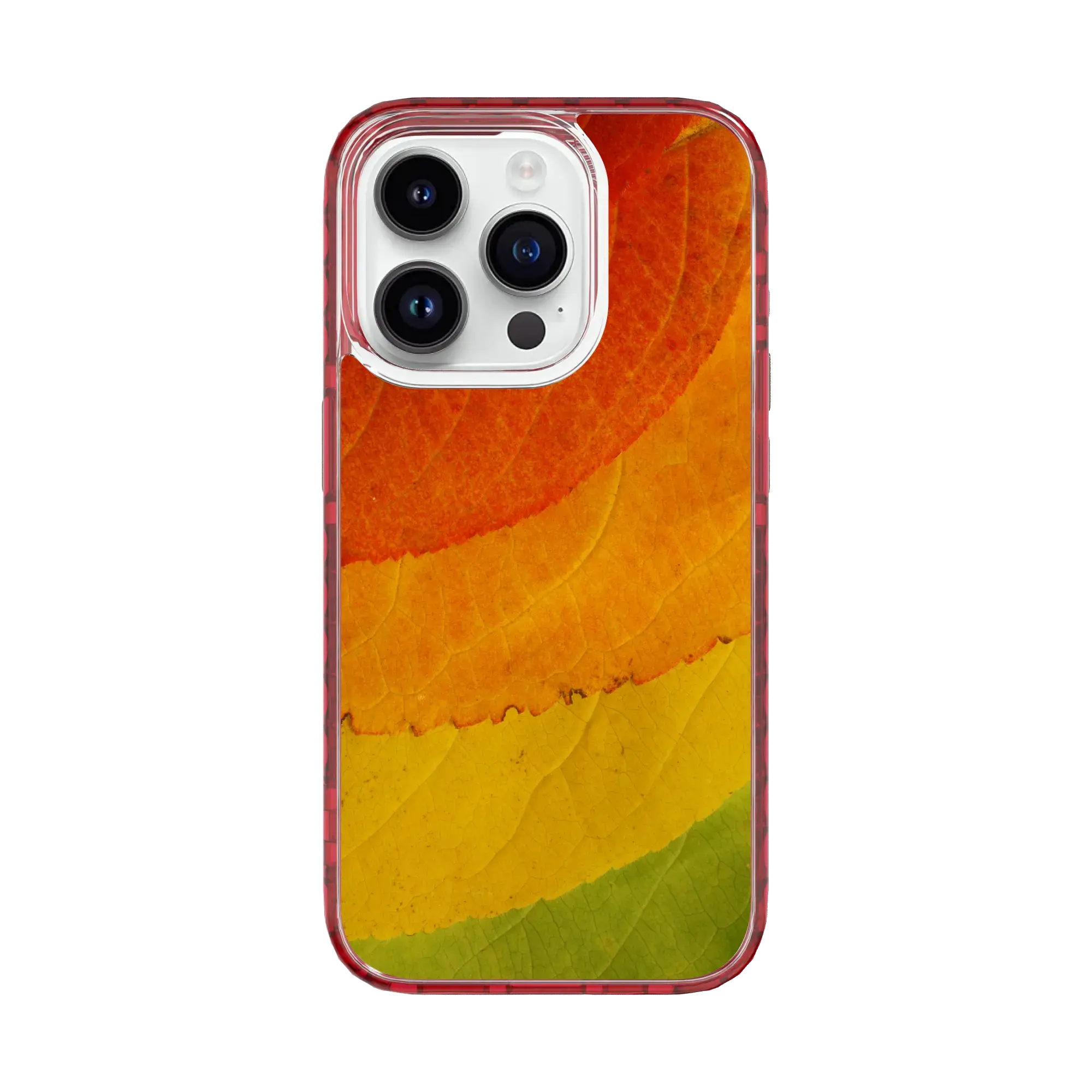 Autumn Bliss | Autumn Leaves | Custom MagSafe Case Design for Apple iPhone 15 Series