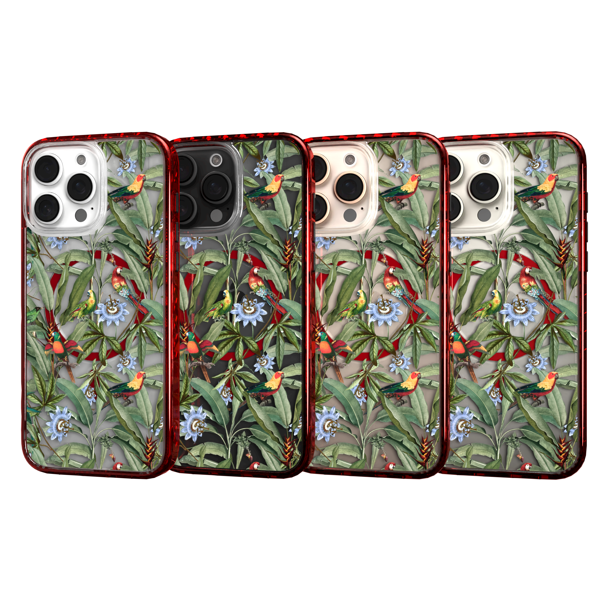 iPhone 16 Series | MagSafe | Bird Case | Parrot Haven