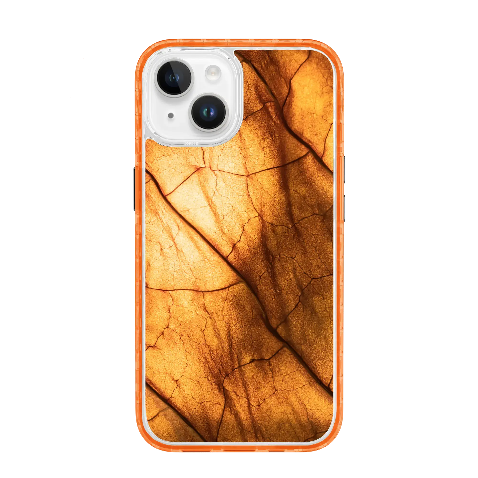 Golden Maple | Autumn Leaves | Custom MagSafe Case Design for Apple iPhone 14 Series
