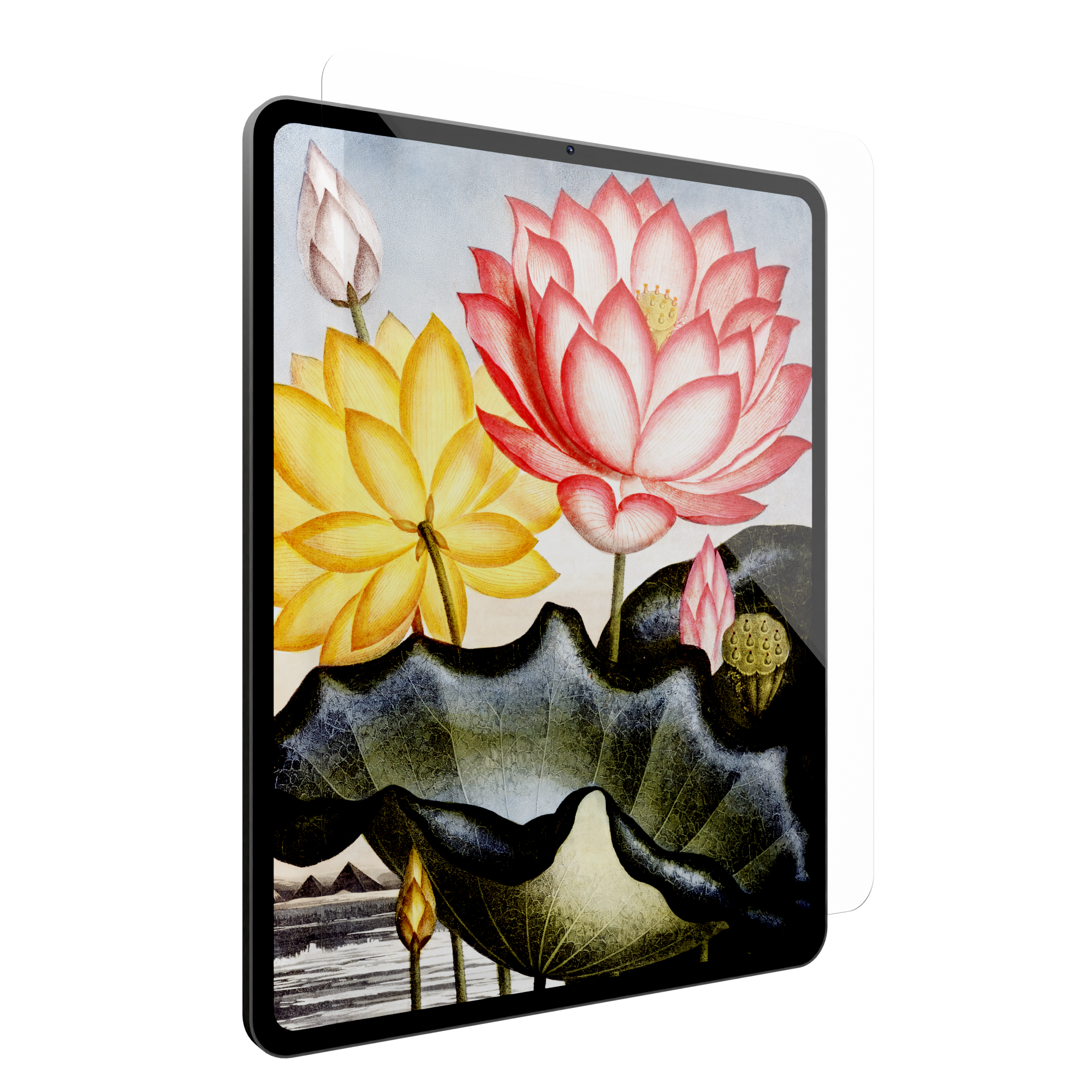 Tempered Glass for iPad Pro 11" (2024/2025) - with Alignment Tray